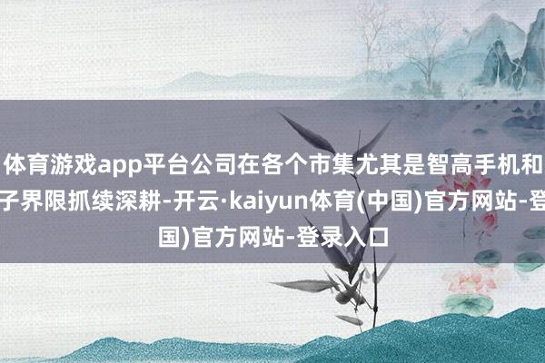体育游戏app平台公司在各个市集尤其是智高手机和汽车电子界限抓续深耕-开云·kaiyun体育(中国)官方网站-登录入口