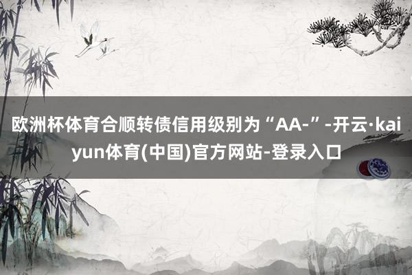 欧洲杯体育合顺转债信用级别为“AA-”-开云·kaiyun体育(中国)官方网站-登录入口