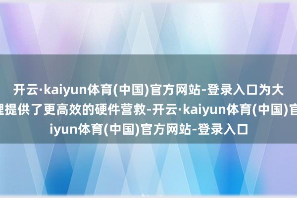 开云·kaiyun体育(中国)官方网站-登录入口为大畛域AI稽察和推理提供了更高效的硬件营救-开云·kaiyun体育(中国)官方网站-登录入口